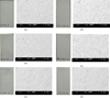 Thumbnail: Fig. 10 Refer to the following caption and surrounding text.