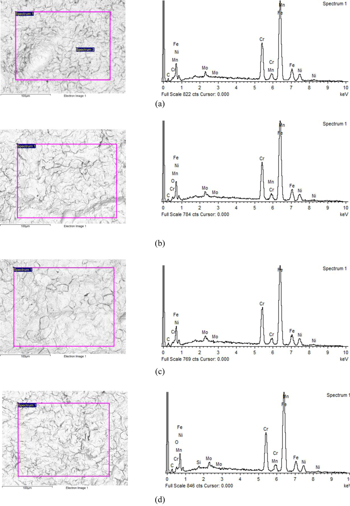 Fig. 11 Refer to the following caption and surrounding text.