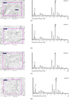 Thumbnail: Fig. 11 Refer to the following caption and surrounding text.