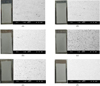Thumbnail: Fig. 12 Refer to the following caption and surrounding text.