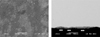 Thumbnail: Fig. 1 Refer to the following caption and surrounding text.