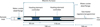 Thumbnail: Fig. 3 Refer to the following caption and surrounding text.
